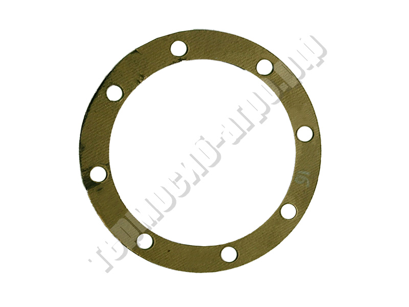 Прокладка РЦИ-01.01.416